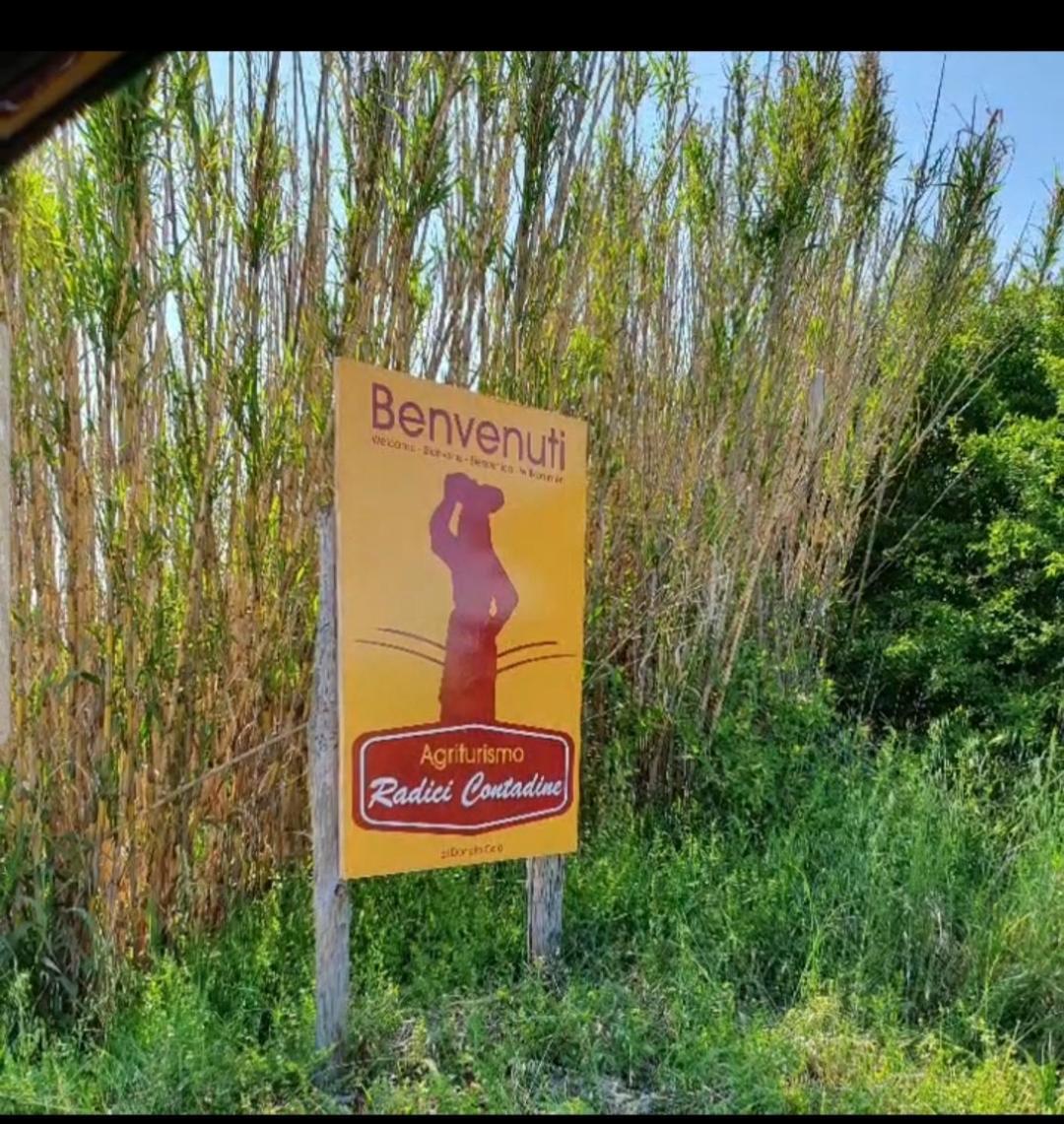 Agriturismo Radici Contadine Bisaccia 外观 照片