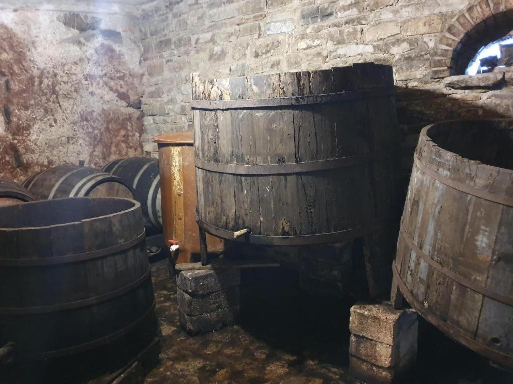 Agriturismo Radici Contadine Bisaccia 外观 照片